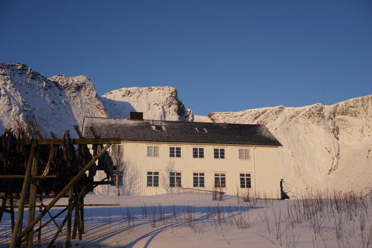 Catogarden - Boutique Home & Activity Centre Reine Bagian luar foto