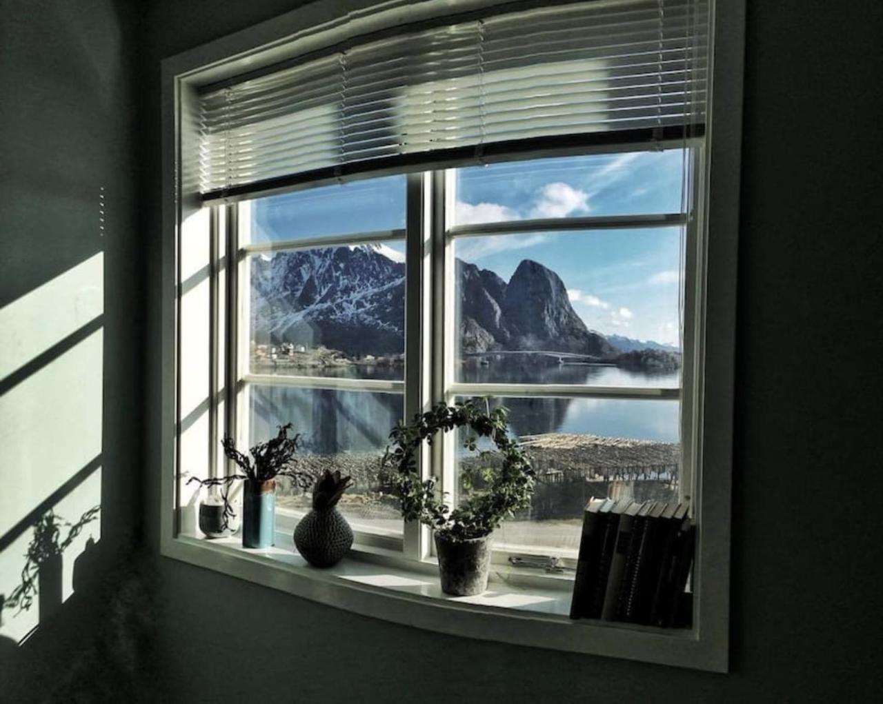 Catogarden - Boutique Home & Activity Centre Reine Bagian luar foto