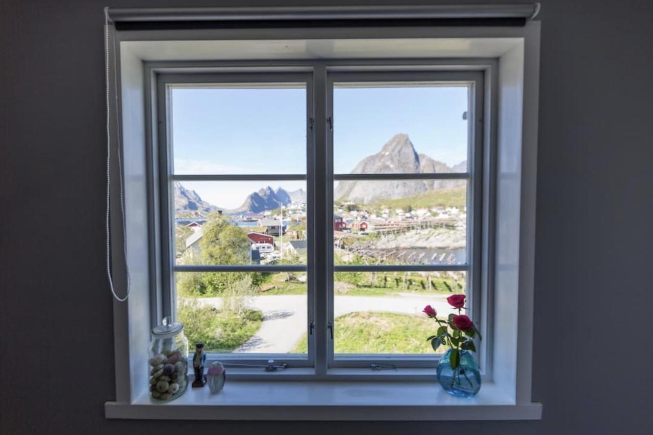 Catogarden - Boutique Home & Activity Centre Reine Bagian luar foto