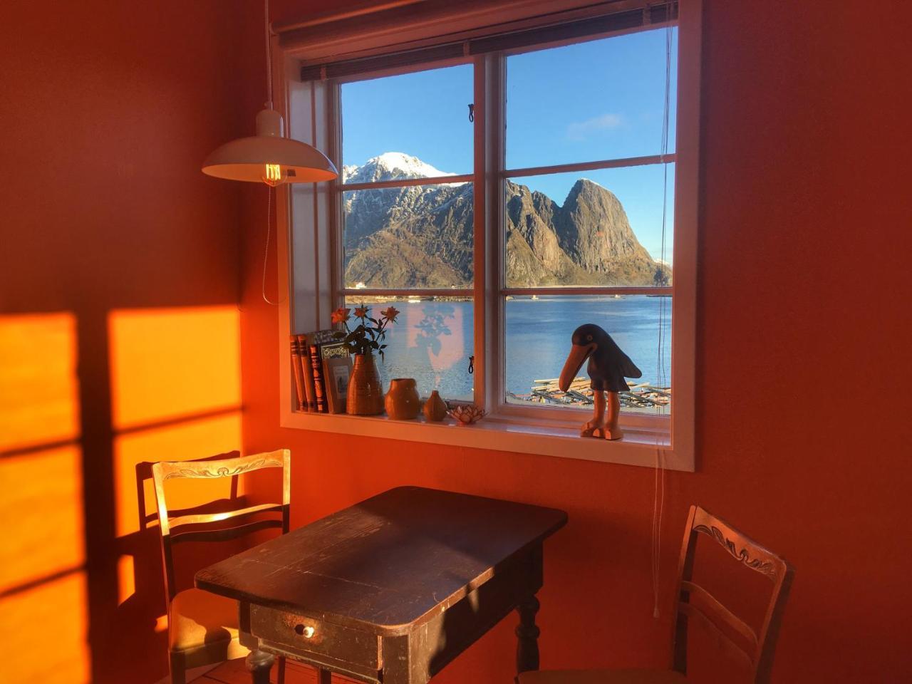 Catogarden - Boutique Home & Activity Centre Reine Bagian luar foto