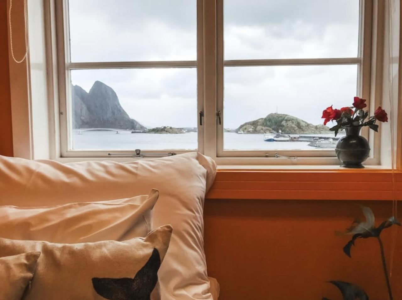 Catogarden - Boutique Home & Activity Centre Reine Bagian luar foto