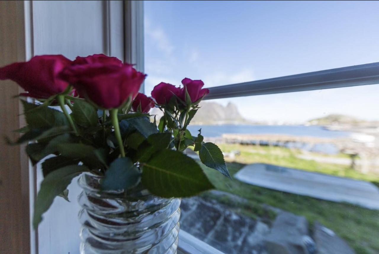 Catogarden - Boutique Home & Activity Centre Reine Bagian luar foto
