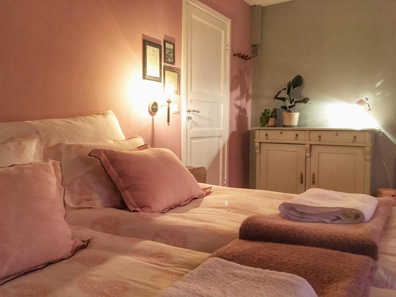 Catogarden - Boutique Home & Activity Centre Reine Bagian luar foto