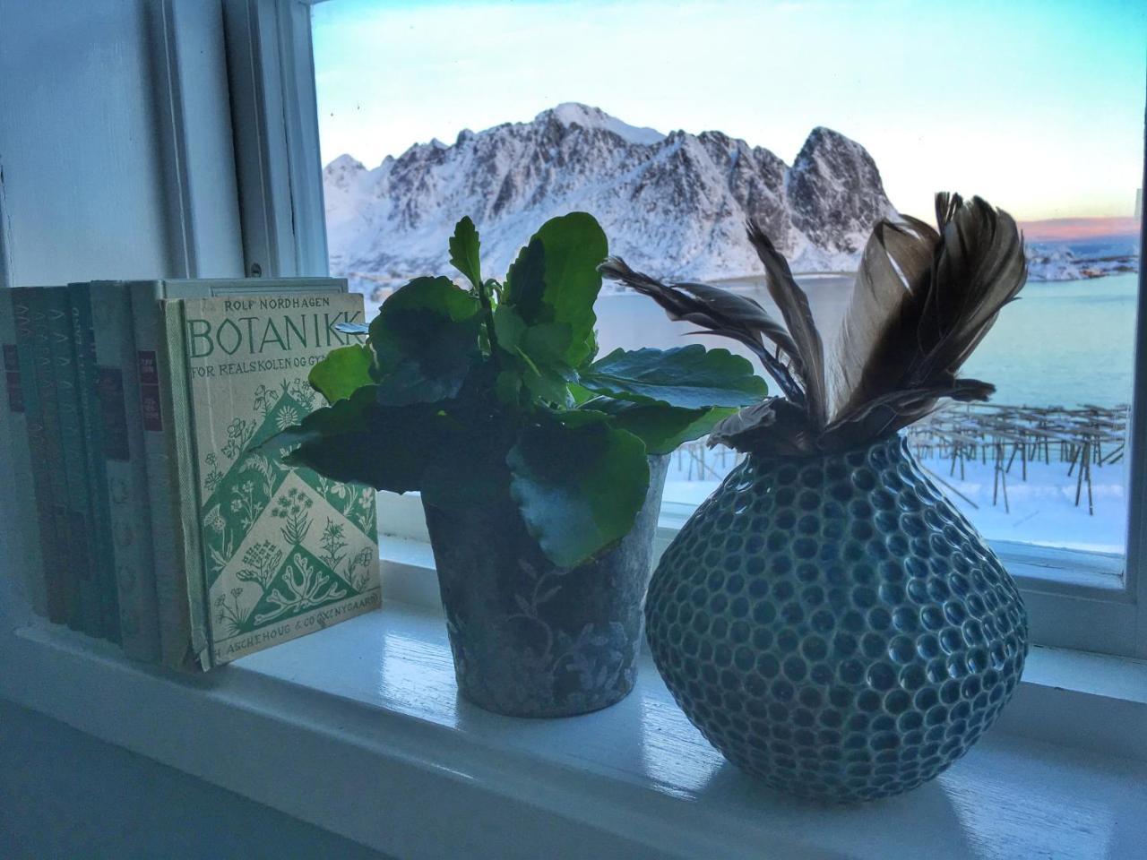 Catogarden - Boutique Home & Activity Centre Reine Bagian luar foto